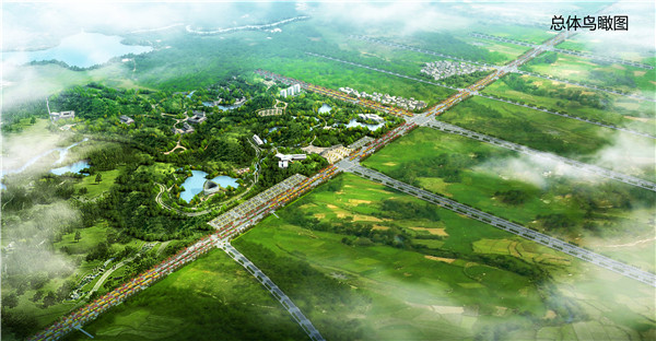 1591168744450542.jpg 總體鳥瞰圖.jpg